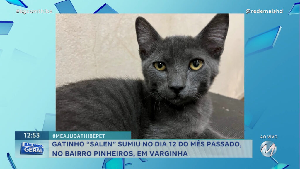 #MEAJUDATHIBÉPET | GATINHO “SALEN” SUMIU EM VARGINHA