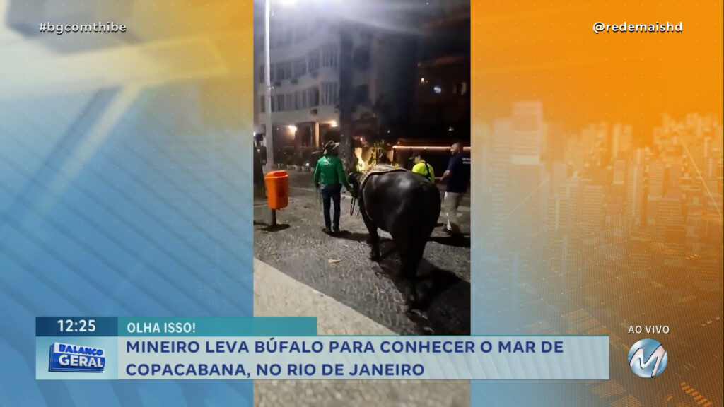 MINEIRO LEVA BÚFALO PARA CONHECER O MAR DE COPACABANA, NO RIO DE JANEIRO