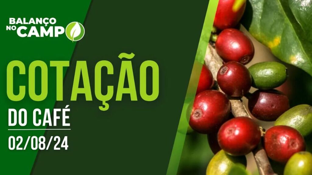 COTAÇÃO DO CAFÉ – 02/08/2024