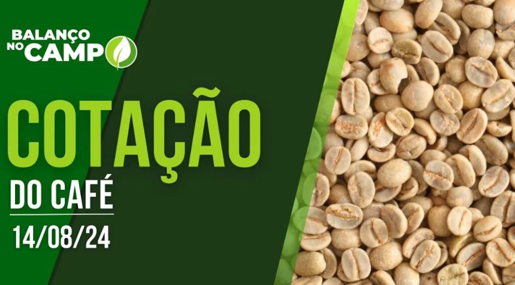 COTAÇÃO DO CAFÉ – 14/08/2024