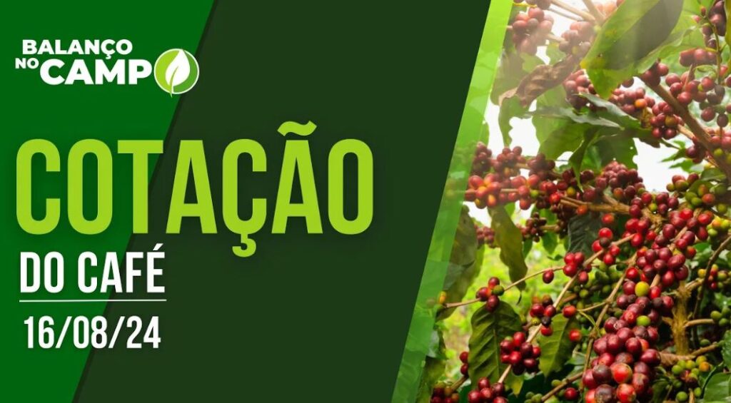 COTAÇÃO DO CAFÉ EM ALTA – 16/08/2024