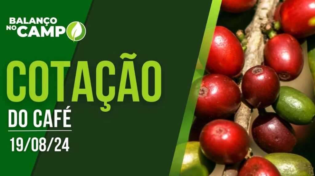 COTAÇÃO DO CAFÉ – 19/08/2024