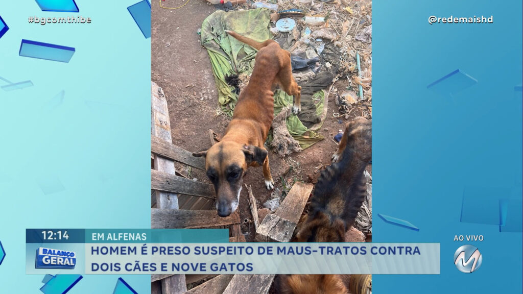 HOMEM É PRESO SUSPEITO DE MAUS-TRATOS CONTRA DOIS CÃES E NOVE GATOS