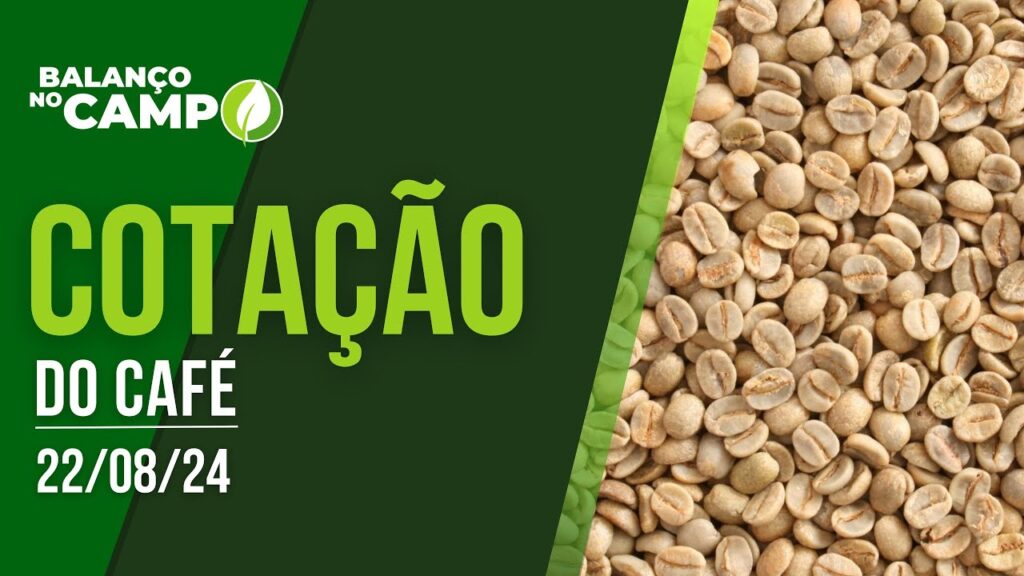 COTAÇÃO DO CAFÉ – 22/08/2024