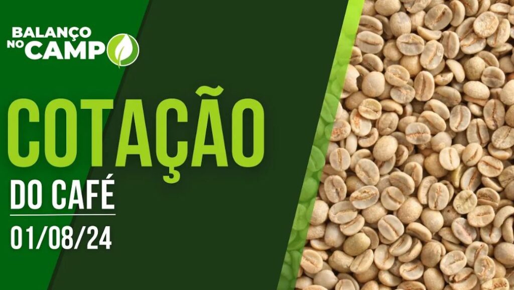 COTAÇÃO DO CAFÉ – 01/08/2024