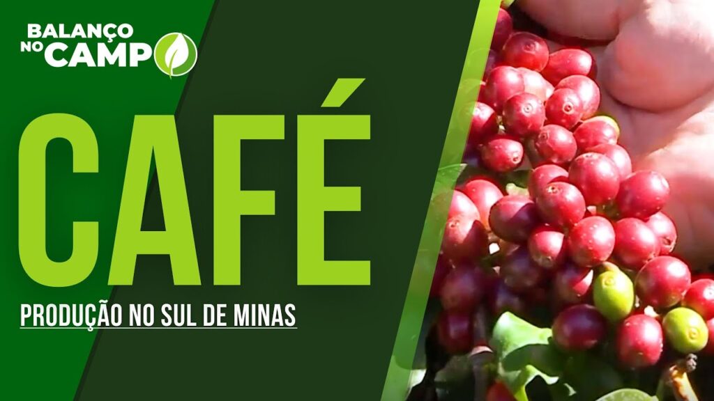 COOPERADO COOPAMA SE DEDICA AO CAFÉ USANDO PRODUTOS BAYER