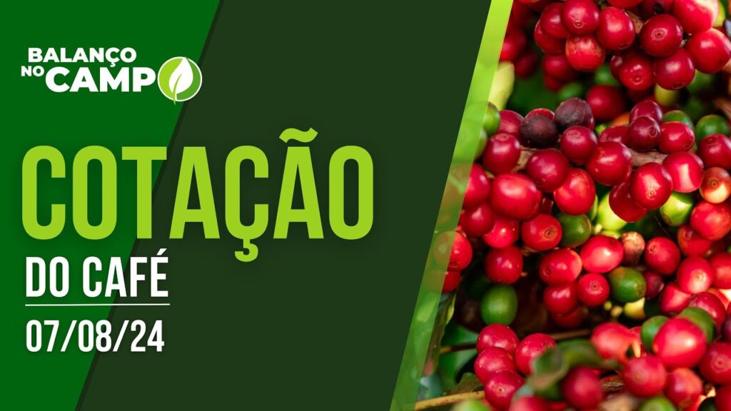 COTAÇÃO DO CAFÉ – 07/08/2024