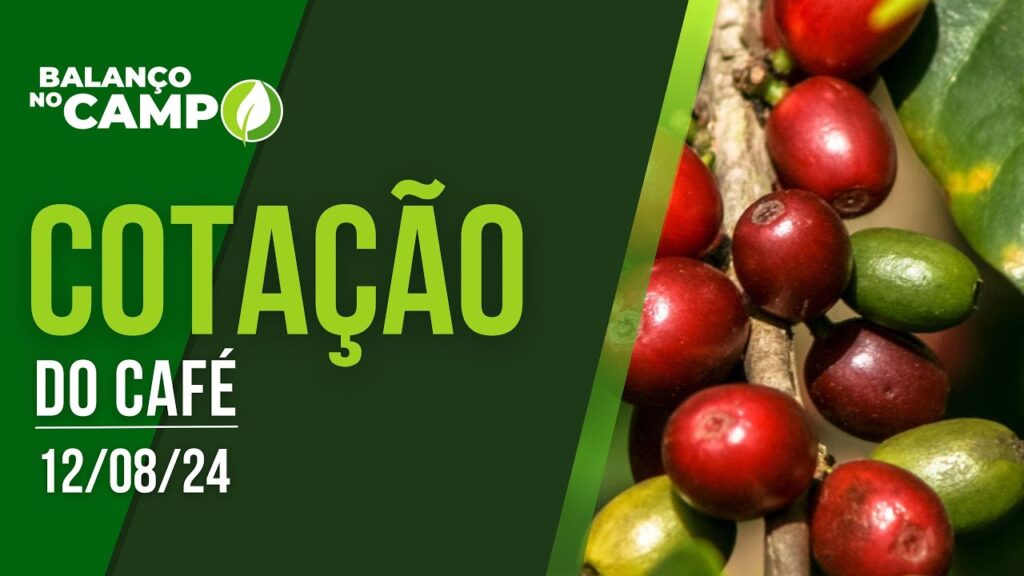 COTAÇÃO DO CAFÉ – 12/08/2024