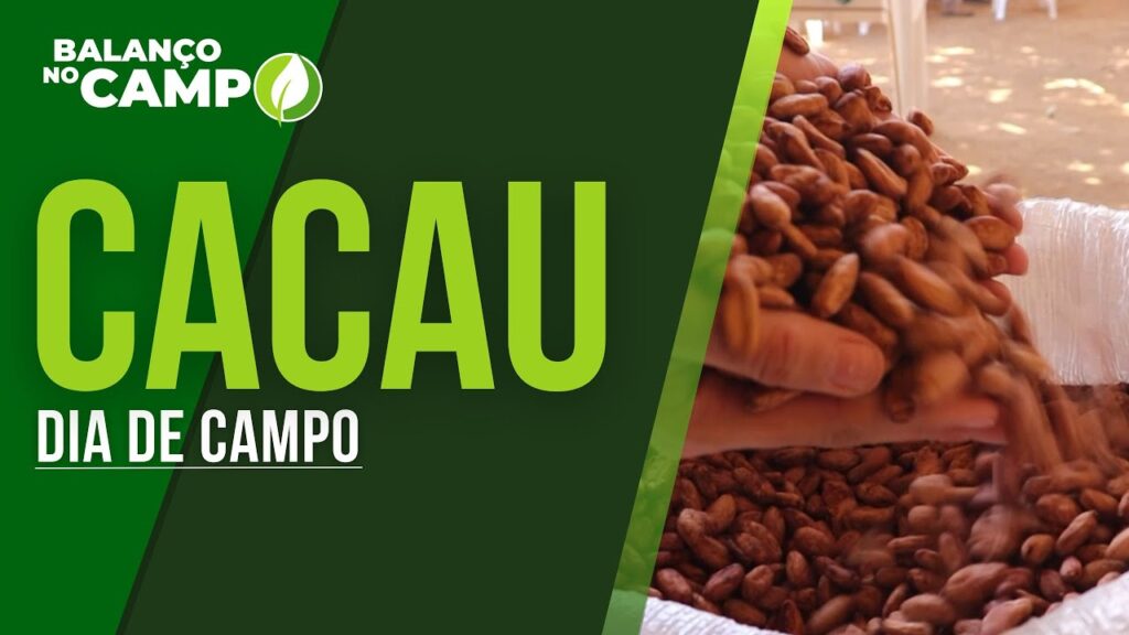 DIA DE CAMPO DO CACAU REÚNE FRUTICULTORES EM JANAÚBA