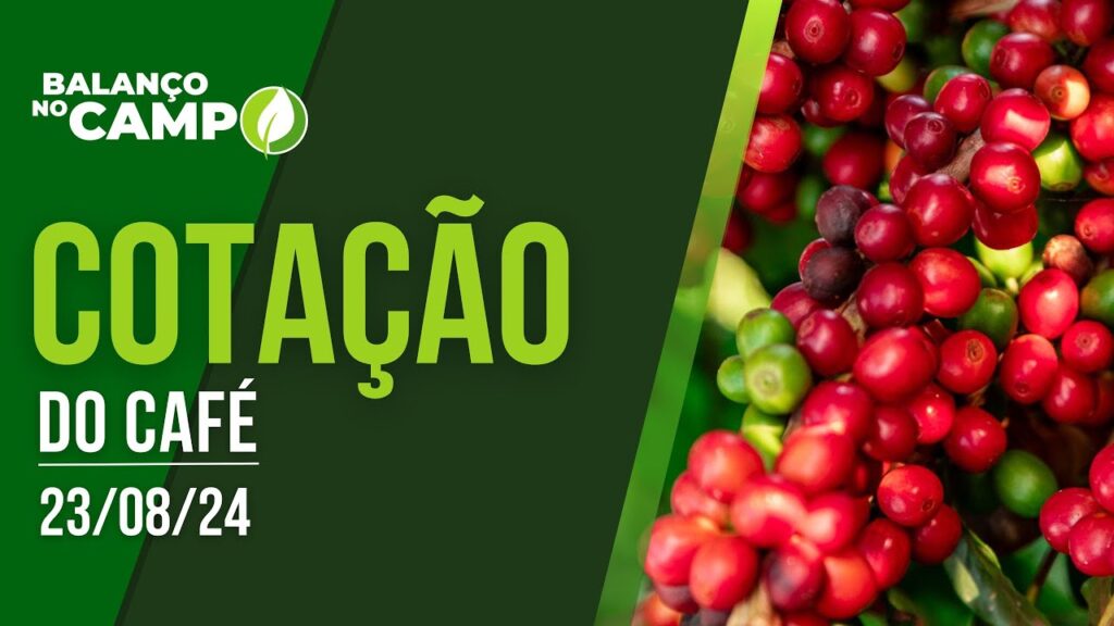 COTAÇÃO DO CAFÉ – 23/08/2024