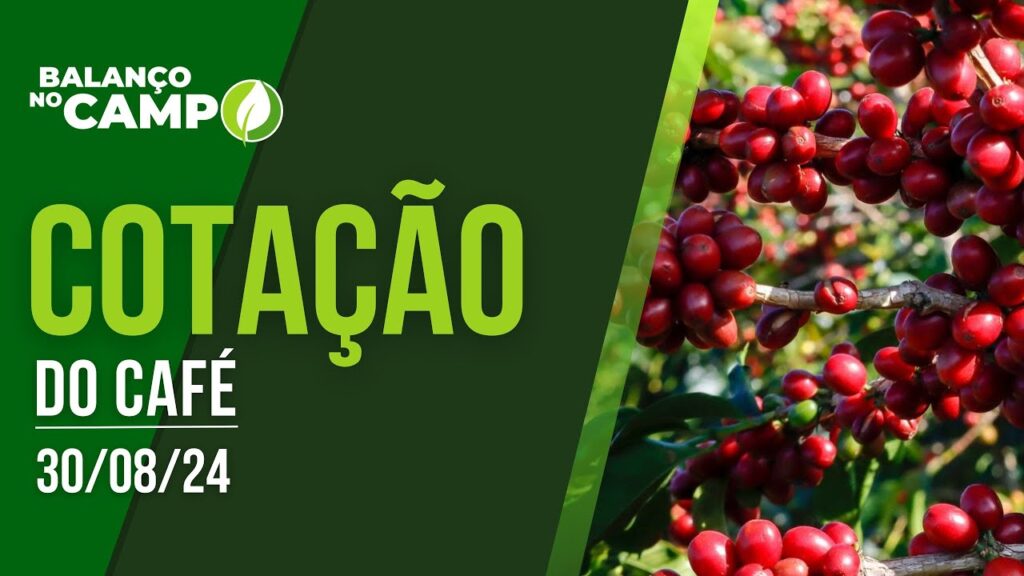 COTAÇÃO DO CAFÉ – 30/08/2024