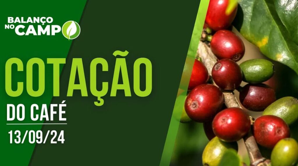 COTAÇÃO DO CAFÉ – 13/09/2024