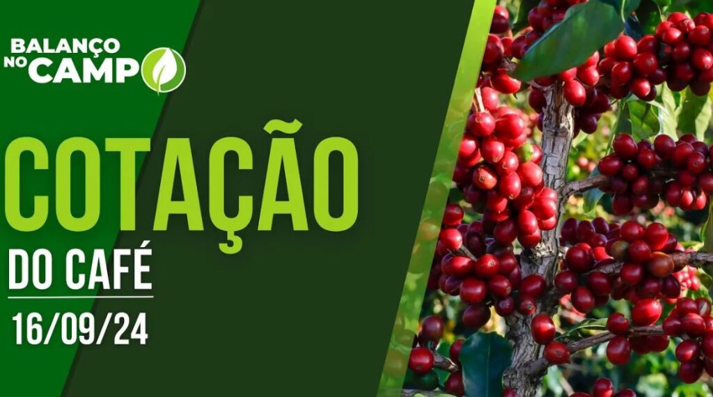 COTAÇÃO DO CAFÉ EM ALTA – 16/09/2024