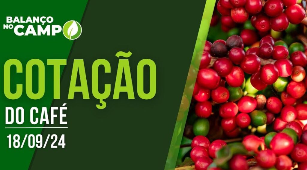 COTAÇÃO DO CAFÉ – 18/09/2024