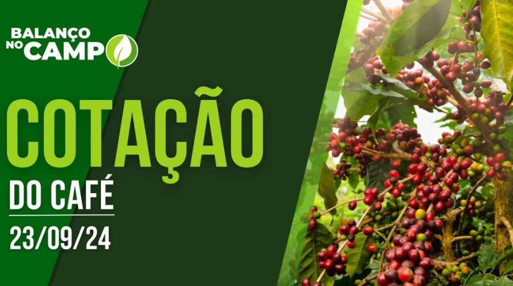 COTAÇÃO DO CAFÉ – 23/09/2024