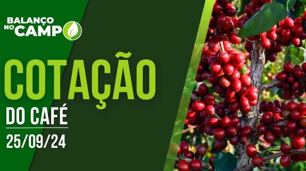 COTAÇÃO DO CAFÉ – 25/09/2024