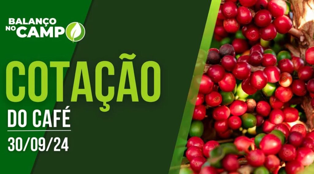 COTAÇÃO DO CAFÉ – 30/09/2024