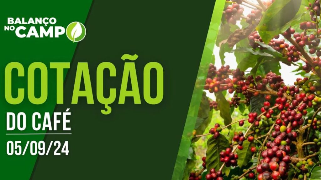 COTAÇÃO DO CAFÉ – 05/09/2024