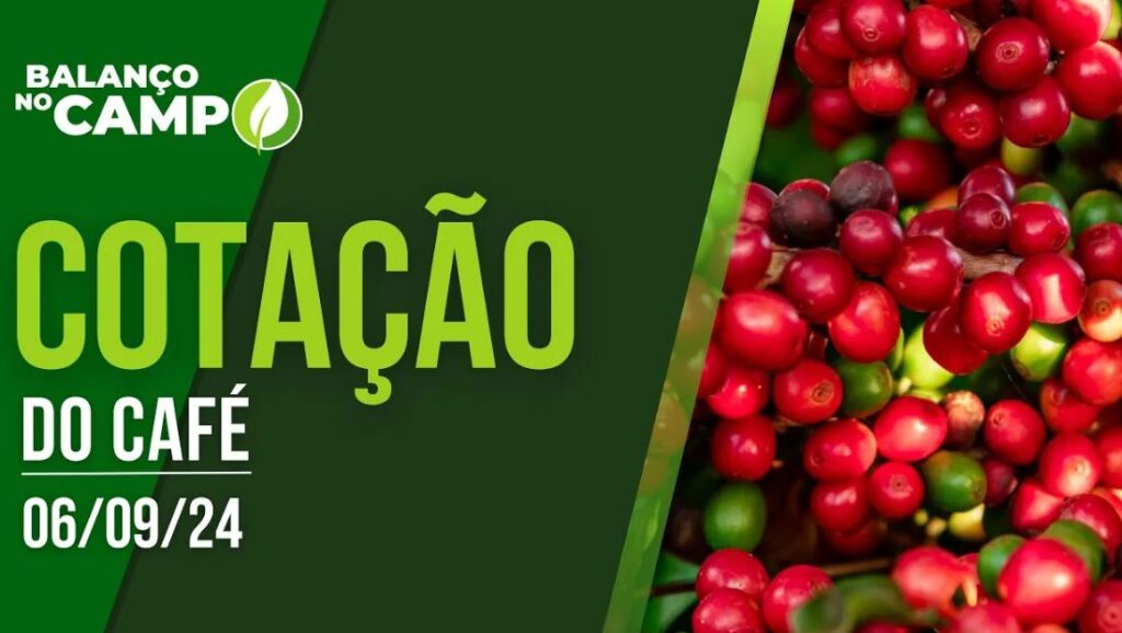 COTAÇÃO DO CAFÉ – 06/09/2024