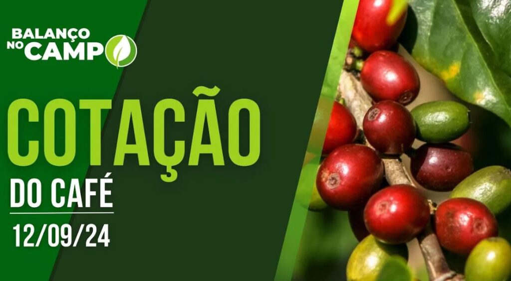 COTAÇÃO DO CAFÉ – 12/09/2024