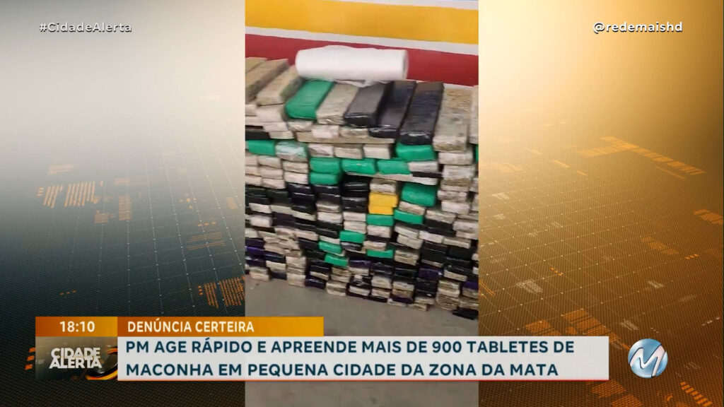 DENÚNCIA CERTEIRA: PM APREENDE MAIS DE 900 TABLETES DE MACONHA EM PEQUENA CIDADE DA ZONA DA MATA