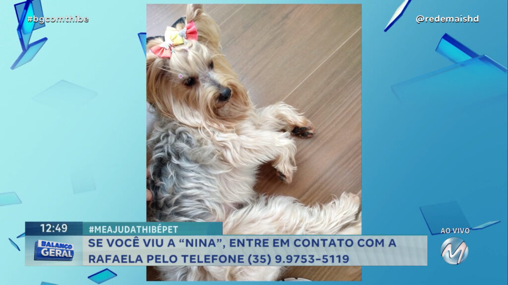 #MEAJUDATHIBÉPET: CACHORRINHA “NINA” SUMIU NO SÁBADO NO BAIRRO PARQUE ELIANE EM VARGINHA