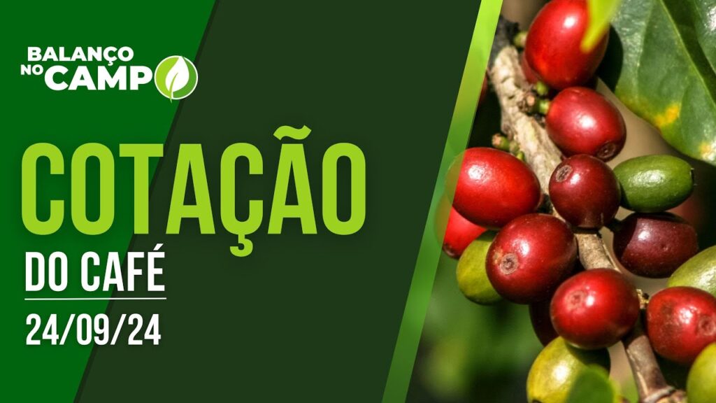 COTAÇÃO DO CAFÉ – 24/09/2024