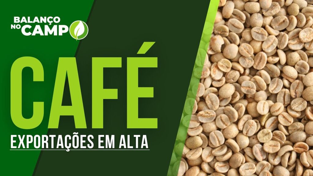 BRASIL EXPORTA 3,7 MILHÕES DE SACAS DE CAFÉ EM AGOSTO