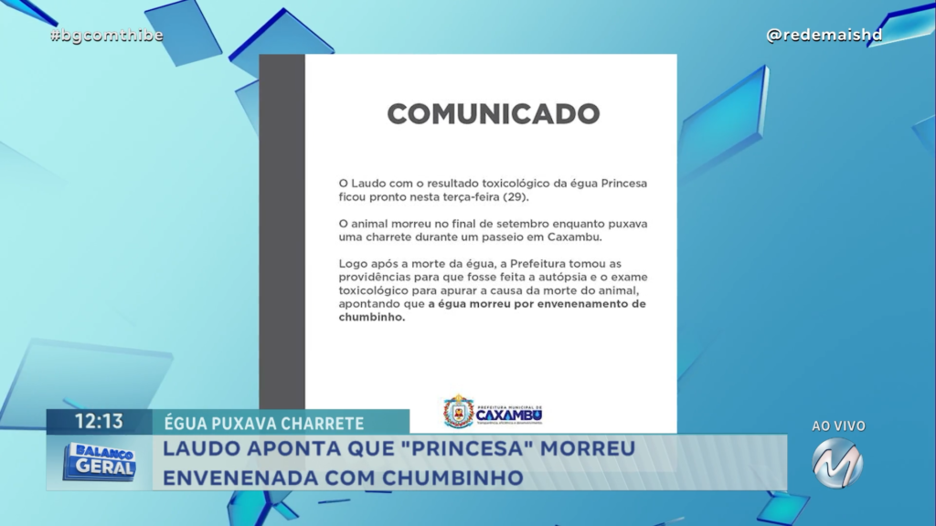 LAUDO APONTA QUE “PRINCESA” MORREU ENVENENADA COM CHUMBINHO