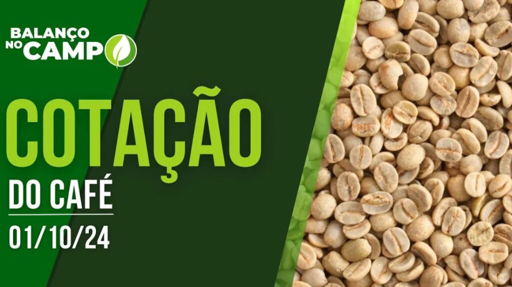 COTAÇÃO DO CAFÉ – 01/10/2024