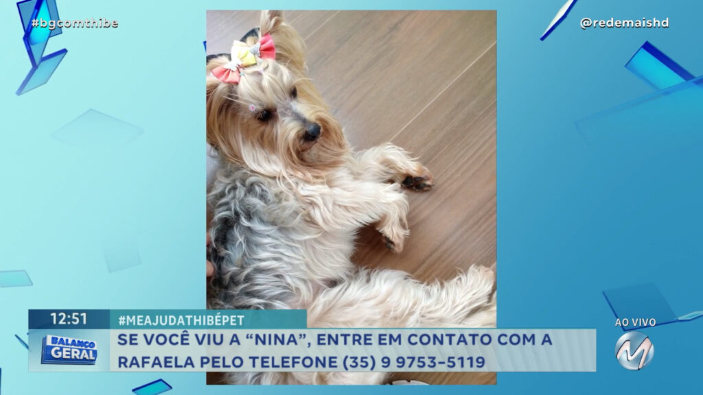 #MEAJUDATHIBÉPET: CACHORRINHA “NINA” SUMIU EM VARGINHA