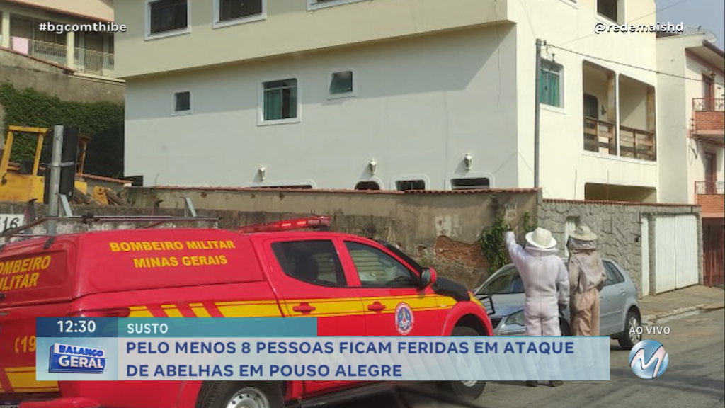 PELO MENOS 8 PESSOAS FICAM FERIDAS EM ATAQUE DE ABELHAS EM POUSO ALEGRE