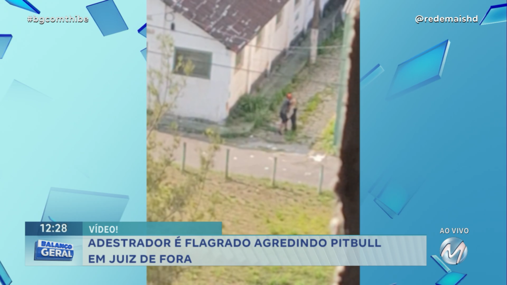 FLAGRA: ADESTRADOR AGRIDE PITBULL EM JUIZ DE FORA