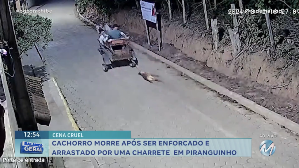 CACHORRO MORRE APÓS SER ENFORCADO E ARRASTADO POR UMA CHARRETE EM PIRANGUINHO