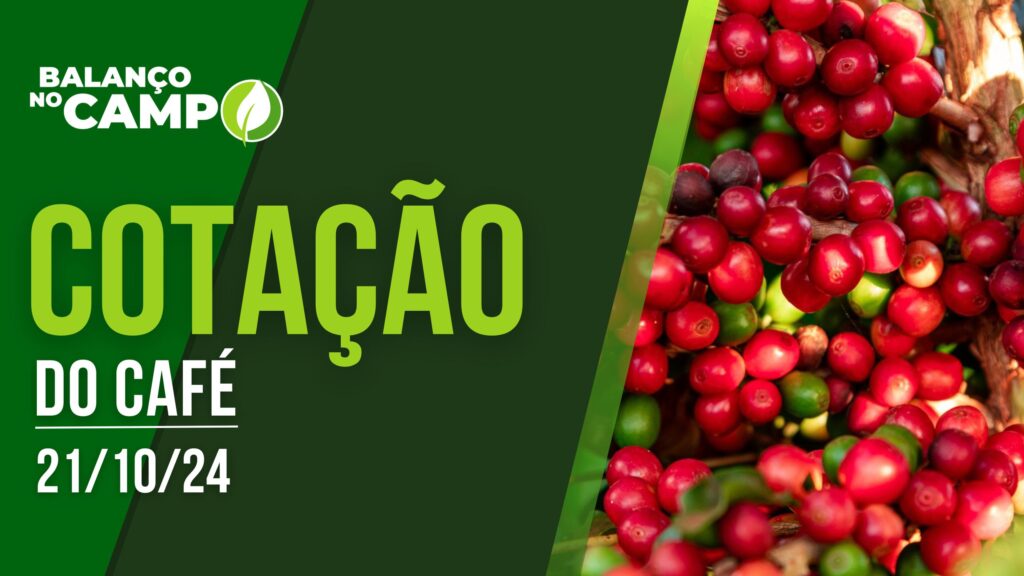 COTAÇÃO DO CAFÉ – 21/10/2024