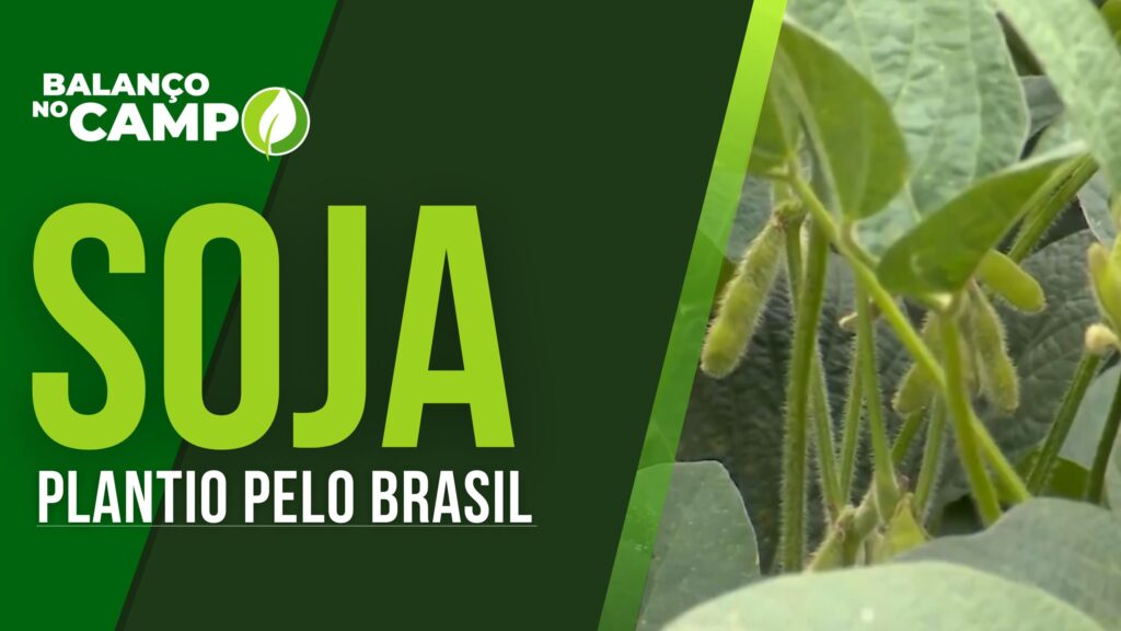 PLANTIO DE SOJA PELO BRASIL