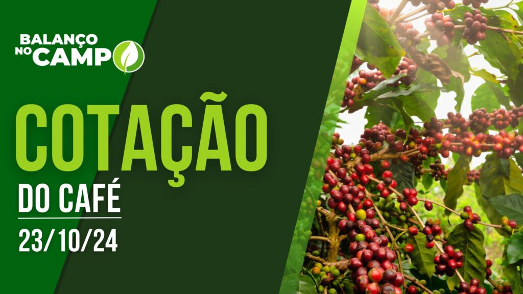 COTAÇÃO DO CAFÉ – 23/10/2024