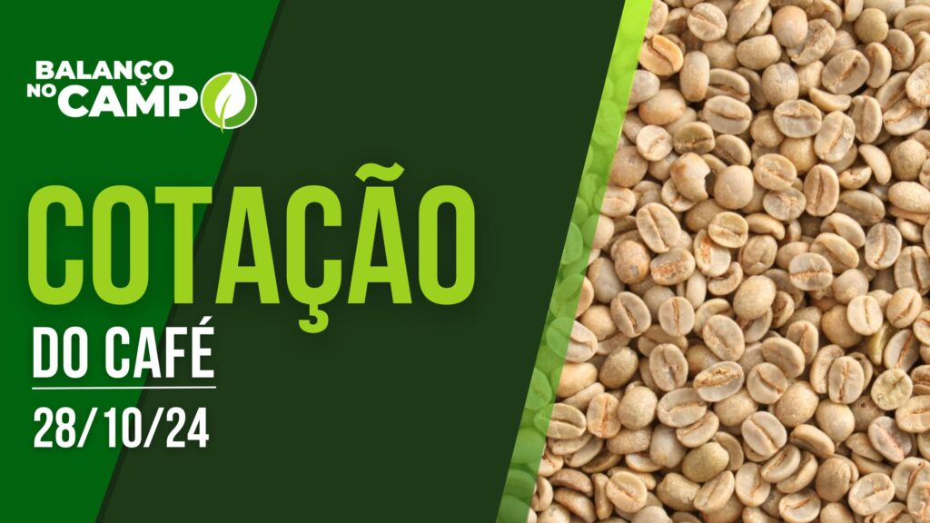 COTAÇÃO DO CAFÉ – 28/10/2024