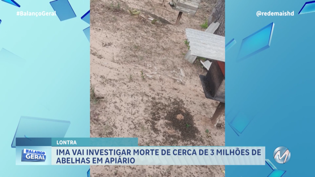 IMA INVESTIGA A MORTE DE 3 MILHÕES DE ABELHAS EM APIÁRIO