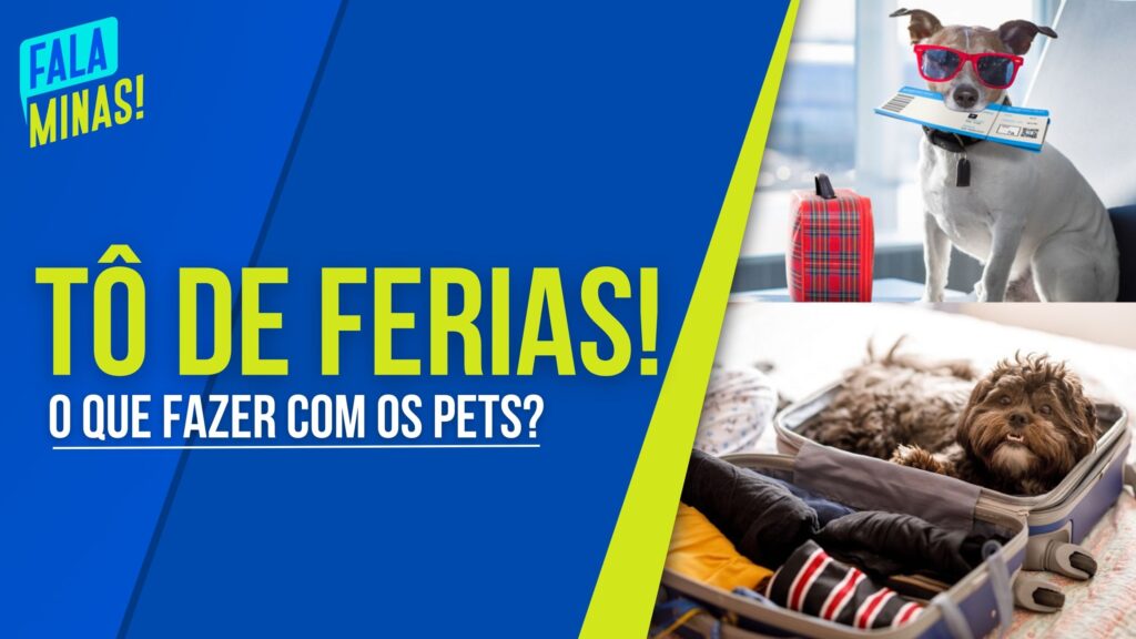 PET NAS FÉRIAS: SAIBA COMO MANTER A SEGURANÇA DO SEU ANIMALZINHO