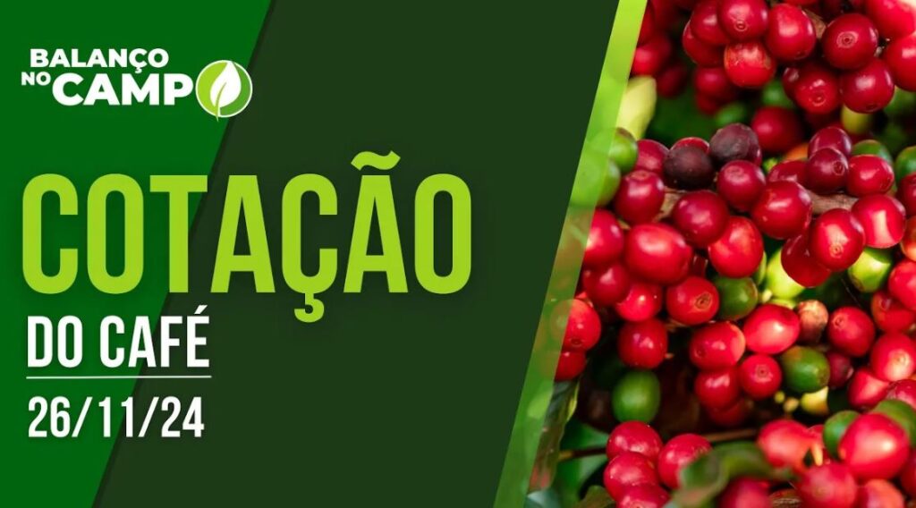 COTAÇÃO DO CAFÉ EM ALTA – 26/11/2024