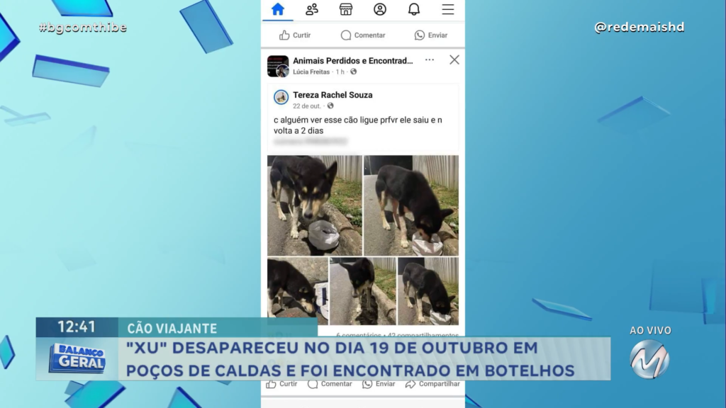 CÃO DESAPARECIDO É ENCONTRADO EM  MUNICÍPIO QUE FICA A 37 KM DE DISTÂNCIA DE CASA