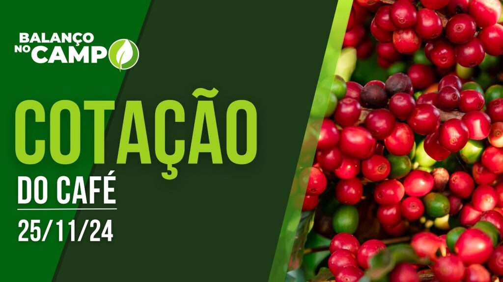 COTAÇÃO DO CAFÉ EM ALTA – 25/11/2024