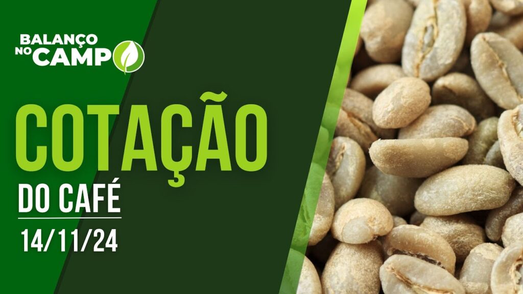 COTAÇÃO DO CAFÉ – 14/11/2024