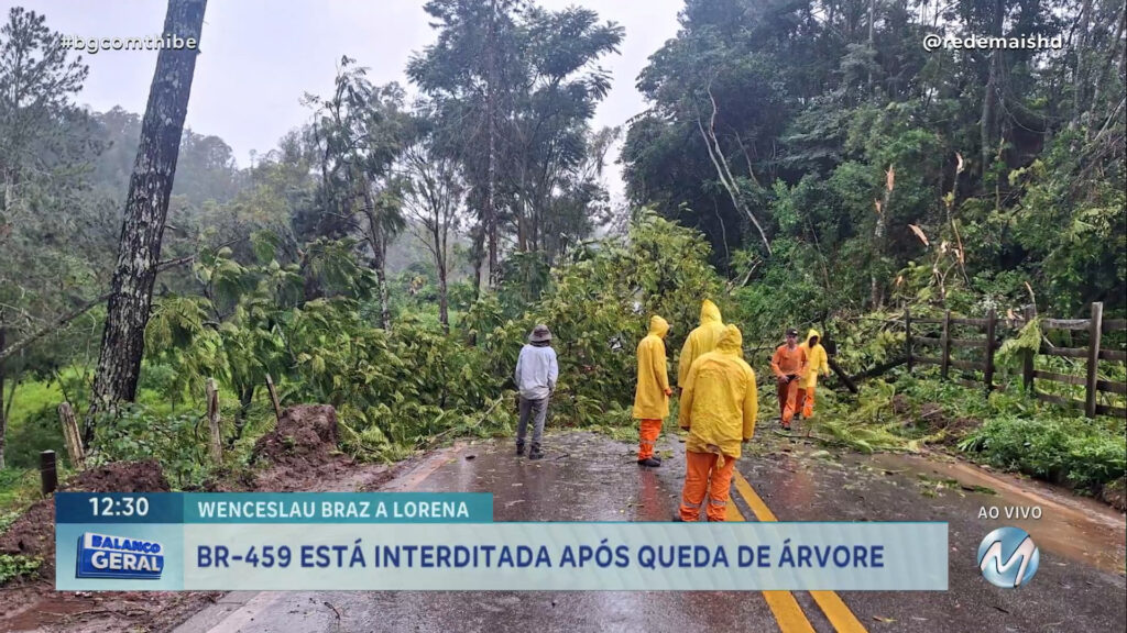 DE WENCESLAU BRAZ A LORENA: BR-459 ESTÁ INTERDITADA APÓS QUEDA DE ÁRVORE