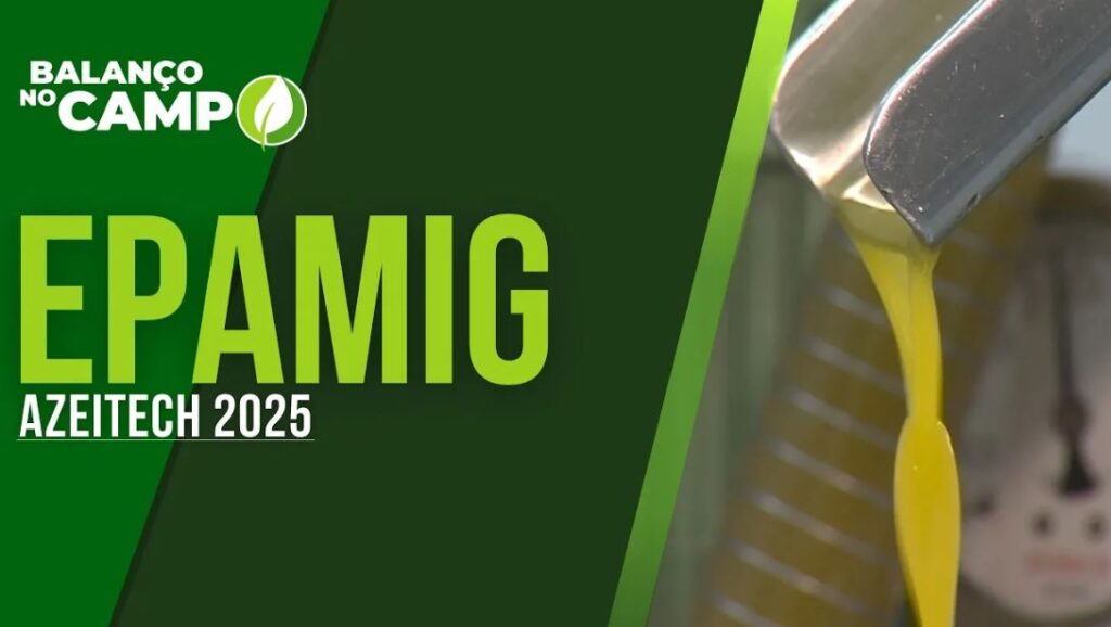 EPAMIG PREPARA O AZEITECH 2025