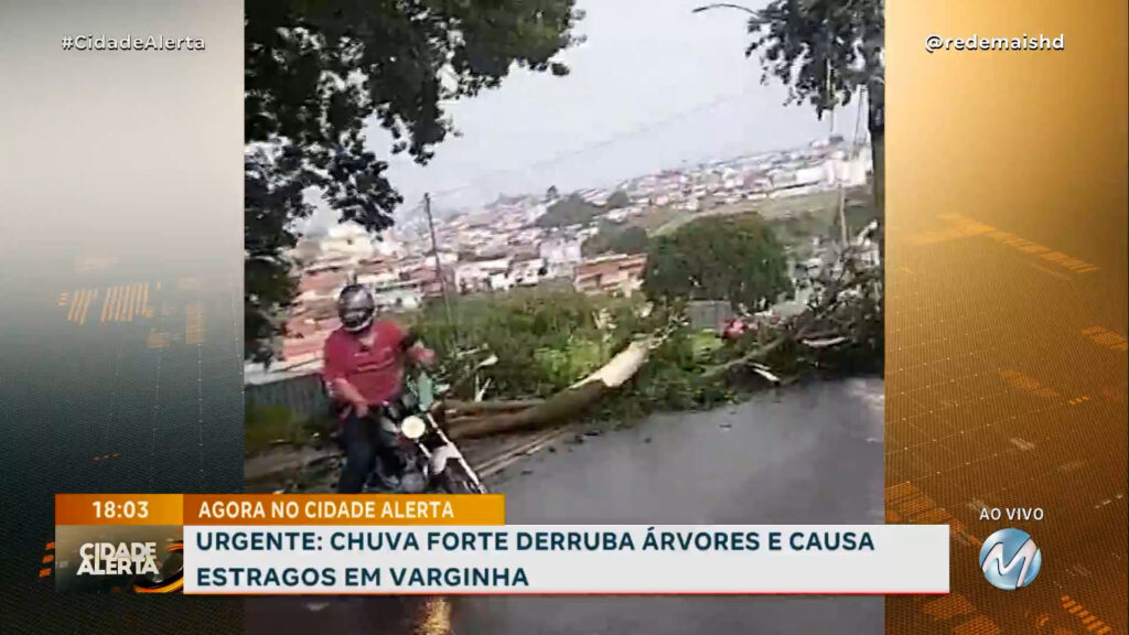 URGENTE: CHUVA FORTE DERRUBA ÁRVORES E CAUSA ALAGAMENTO EM VARGINHA