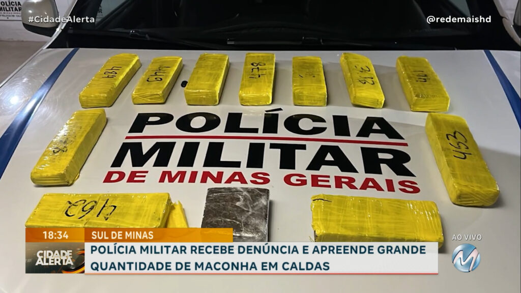 POLÍCIA MILITAR RECEBE DENÚNCIA E APREENDE GRANDE QUANTIDADE DE MACONHA EM CALDAS