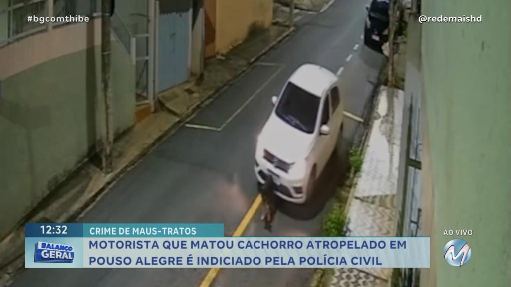 MOTORISTA QUE MATOU CACHORRO ATROPELADO EM POUSO ALEGRE É INDICIADO PELA POLÍCIA CIVIL