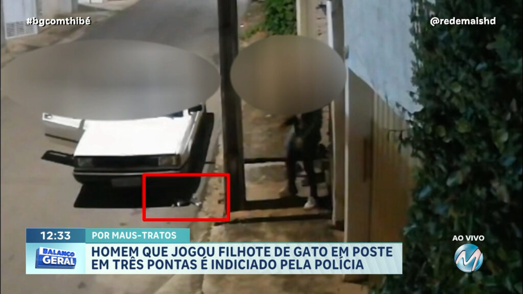 HOMEM QUE JOGOU FILHOTE DE GATO EM POSTE EM TRÊS PONTAS É INDICIADO PELA POLÍCIA |